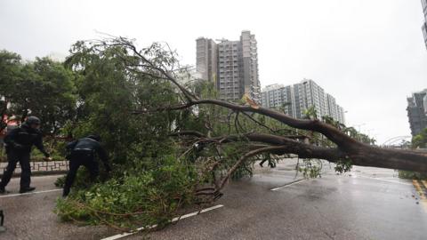 Police cut down a fallen tree in Hong Kong