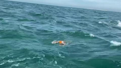 Swimmer in the English Channel