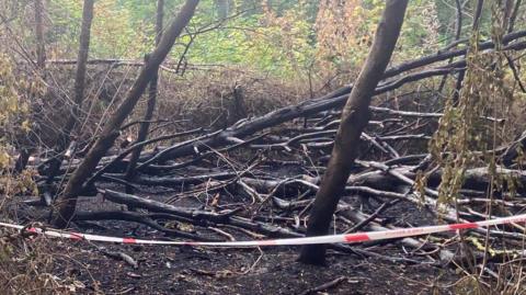 A patch of scorched earth and blackened, bare tree branches, surrounded by a cordon of red and white tape.