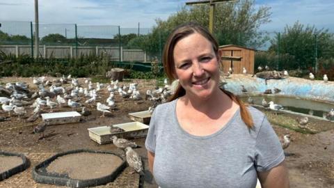 A woman with a grey t-shirt and brown hair tied back into a low ponytail stands in front a seagull enclosure. In the background, groups of gulls gather around large feeding trays.
