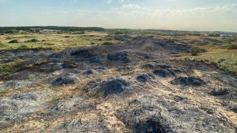 Scorched sand dunes and burnt vegetation in Formby.