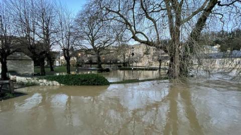 A flooded park in Bradford on Avon with water really high. There are trees scattered around, bushes and houses in the background.