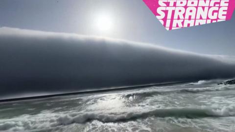 A giant cloud