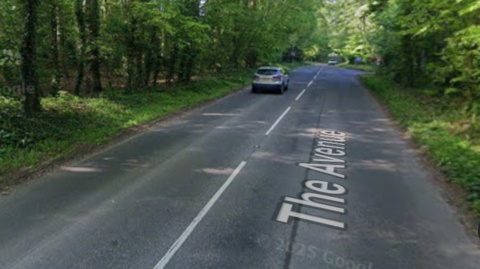 A Google Maps image of a road with trees either side, with the words 'The Avenue' visible on the road.