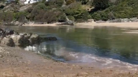 Sewage flowing into the Gannel Estuary