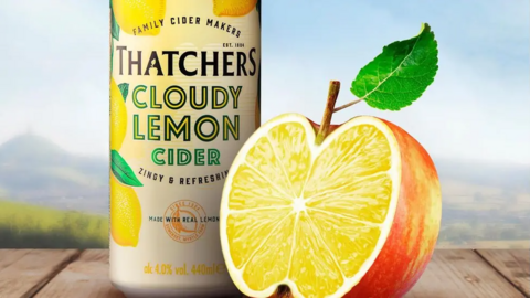 A can of Thatchers Cloudy Lemon Cider, with its pale yellow can and lemons on the packaging. It's next to an apple cut in half so we can see its cross-section. They are sat on a wooden table and in the background is a blurry landscape of Somerset.