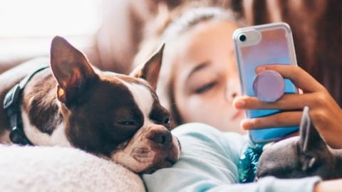 A girl and her dog looking at a phone screen in a stock photo