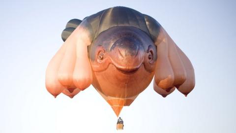 Skywhale hot air balloon