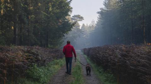 A man walking with a dog in woodland