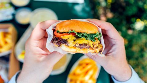 A person holds a burger with tow hands, the burger consists of a bun, tomato, lettuce, melted cheese and a patty.