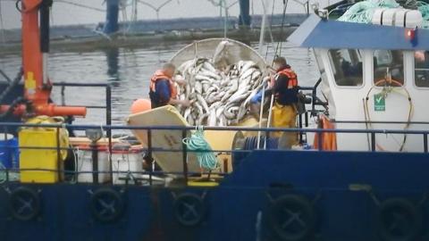 Big basket of fish being held by two fisherman in overalls and orange life jackets