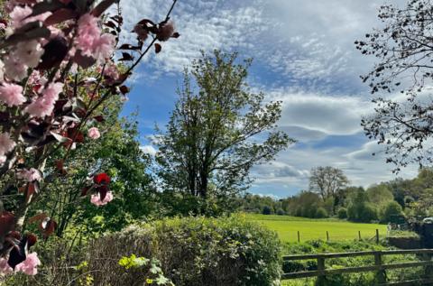 Partly cloudy skies above green field with hedges and flowers 