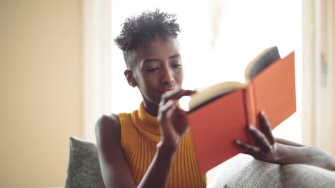 Woman sitting on the lounge reading a book - stock photo