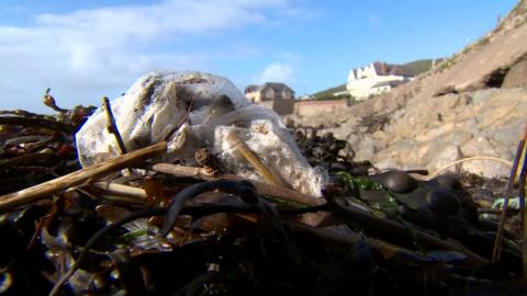 Incontinence pad on beach