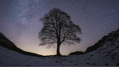 Sycamore Gap