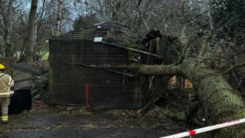 Horse stables crushed by fallen tree