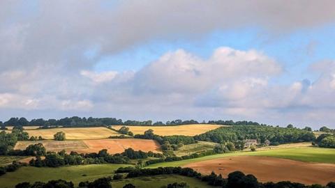 A patchwork of fields in green and oranges sit below a blue sky filled with clouds