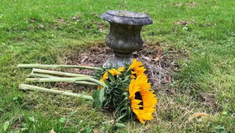 Yellow sunflowers laying on the grass with a small memorial stone behind it