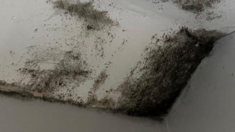 Black mould on the walls and ceiling