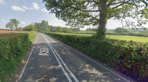 A road is going through two fields. There is a tree on the right side and hedges on either side of the road.