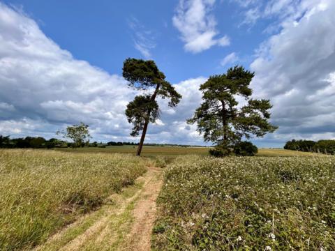 Ilketshall St Lawrence, Suffolk