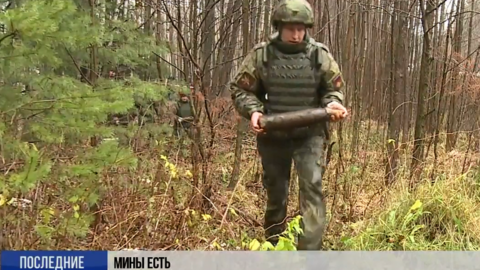 Wartime minefield found near St Petersburg, 2018