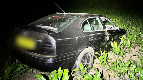 Car in field