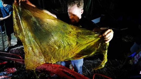 Dead whale found with 40kg of plastic in its stomach