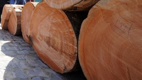 Wood at Gabonese port