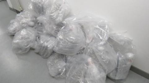 Bags of cannabis found at Belfast city airport
