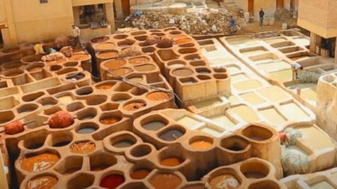 Moroccan tannery