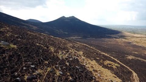 Almost 2,000 gorse fires have been tackled since April 2021, according to figures from the fire service.