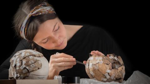 Clara Alfsdotter pieces together a skull found at the site