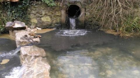 polluted water in a stream