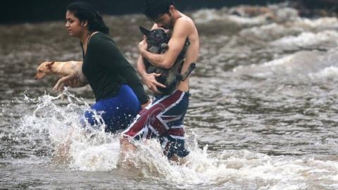 Hawaii residents carry dogs through flood waters.