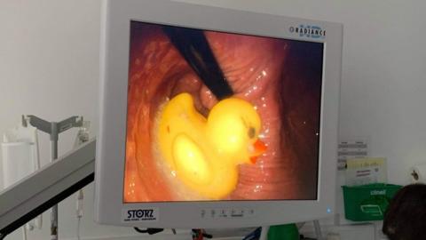 Internal camera image of rubber duck