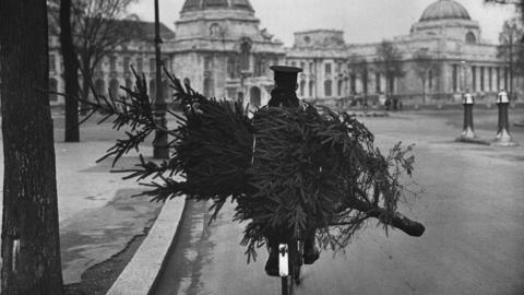 Postman with Christmas tree