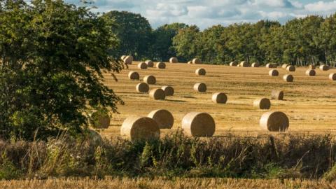 Aberdeenshire countryside