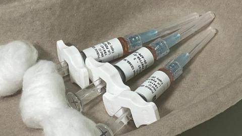 Three hypodermic syringes in a medical dish