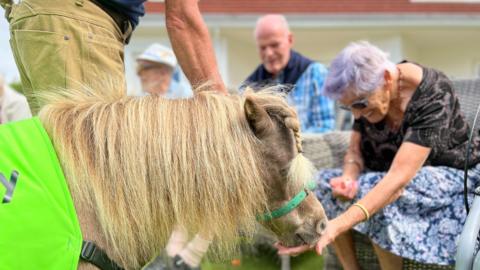 One of the ponies is being fed by a woman at the care home who is smiling