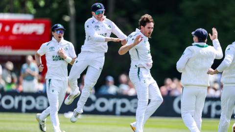 Ireland celebrate qicket