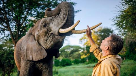 Chris Packham and an elephant. He holds his hand up towards it. 