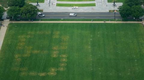 The numbers drawn in the grass