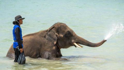 An elephant sprays water on a tourist during an elephant bathing activity at the beach on Koh Chang Island. Riding an elephant is not illegal in Thailand, as the mahout stands by 