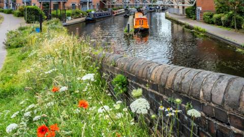Flowers by the canal in Birmingham 