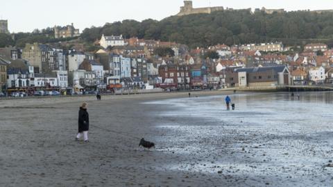 A woman walks her dog at a beach in Scarborough. The sea can be seen to the right of the picture, with the promenade and castle in the background.