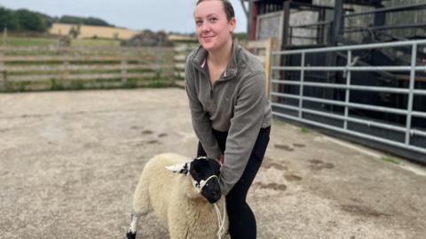A young girl in a grey fleece holds a sheep carefully with some rope on a farm