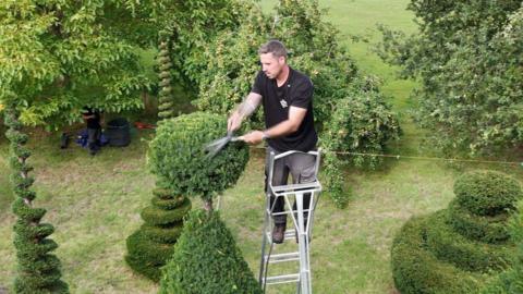 Andy can be seen on a ladder trimming the top of a tree 