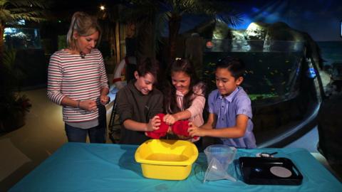 Presenter Naomi Wilkinson and three children. The children are squeezing water out of a red item of clothing over a yellow bowl. 