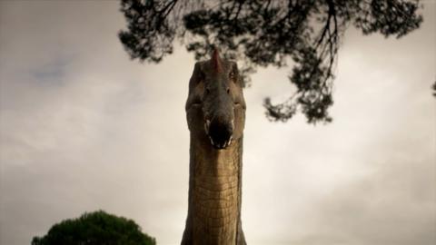 The head of a Spinosaurus dinosaur face-on